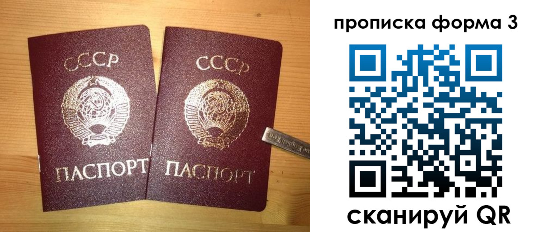 прописка иностранных граждан в Ногинске