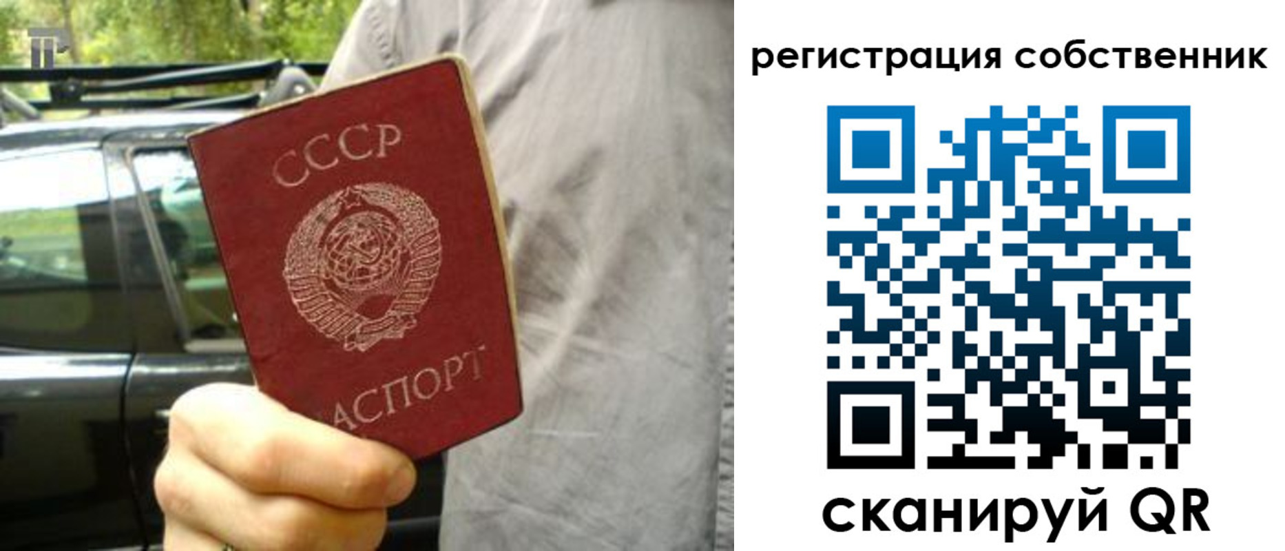 прописка 2025 в Ногинске